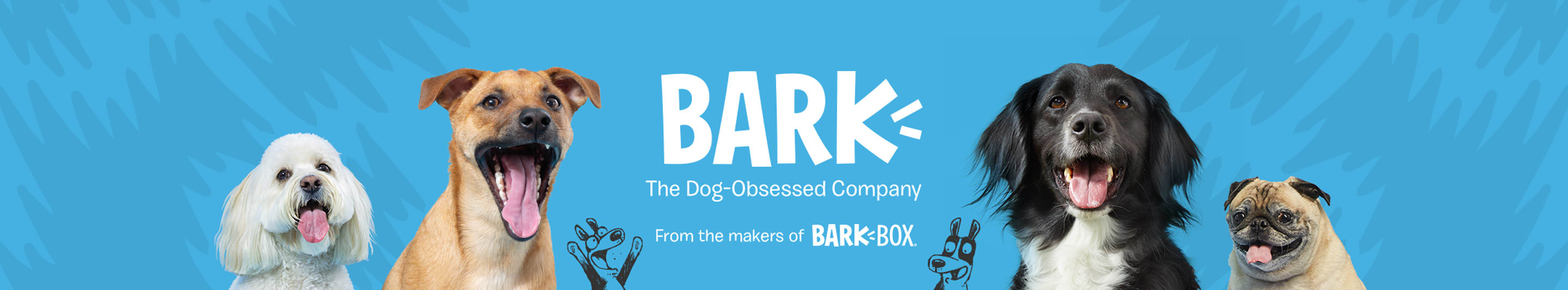 Bark. The Dog-Obsessed Company.