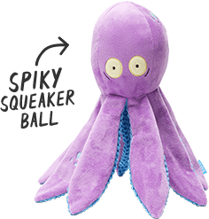 Spiky squeaker ball