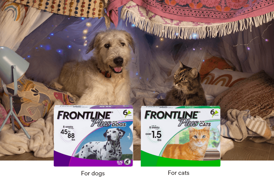 Sponsored Frontline Petco