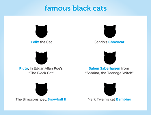 Why We Love Black Cats