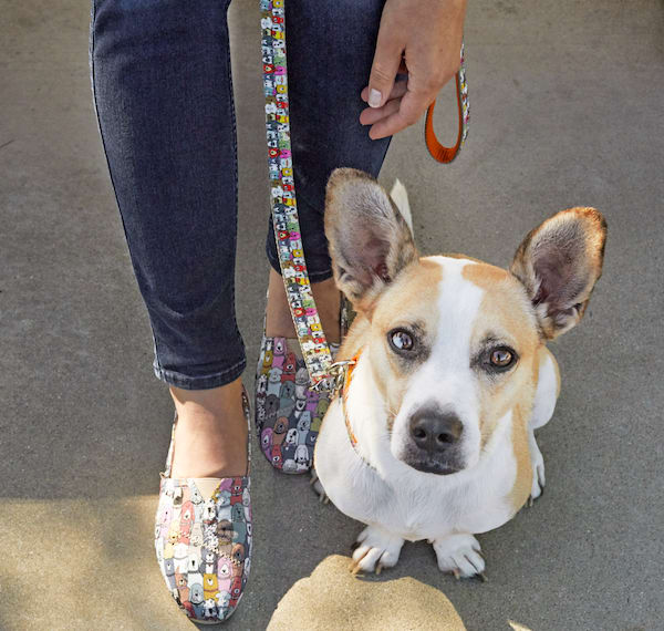 Best Holiday Gifts for Pet Lovers Petco