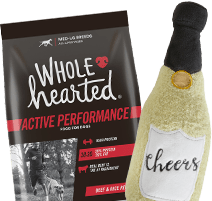 2.5 gallon fish tank petco