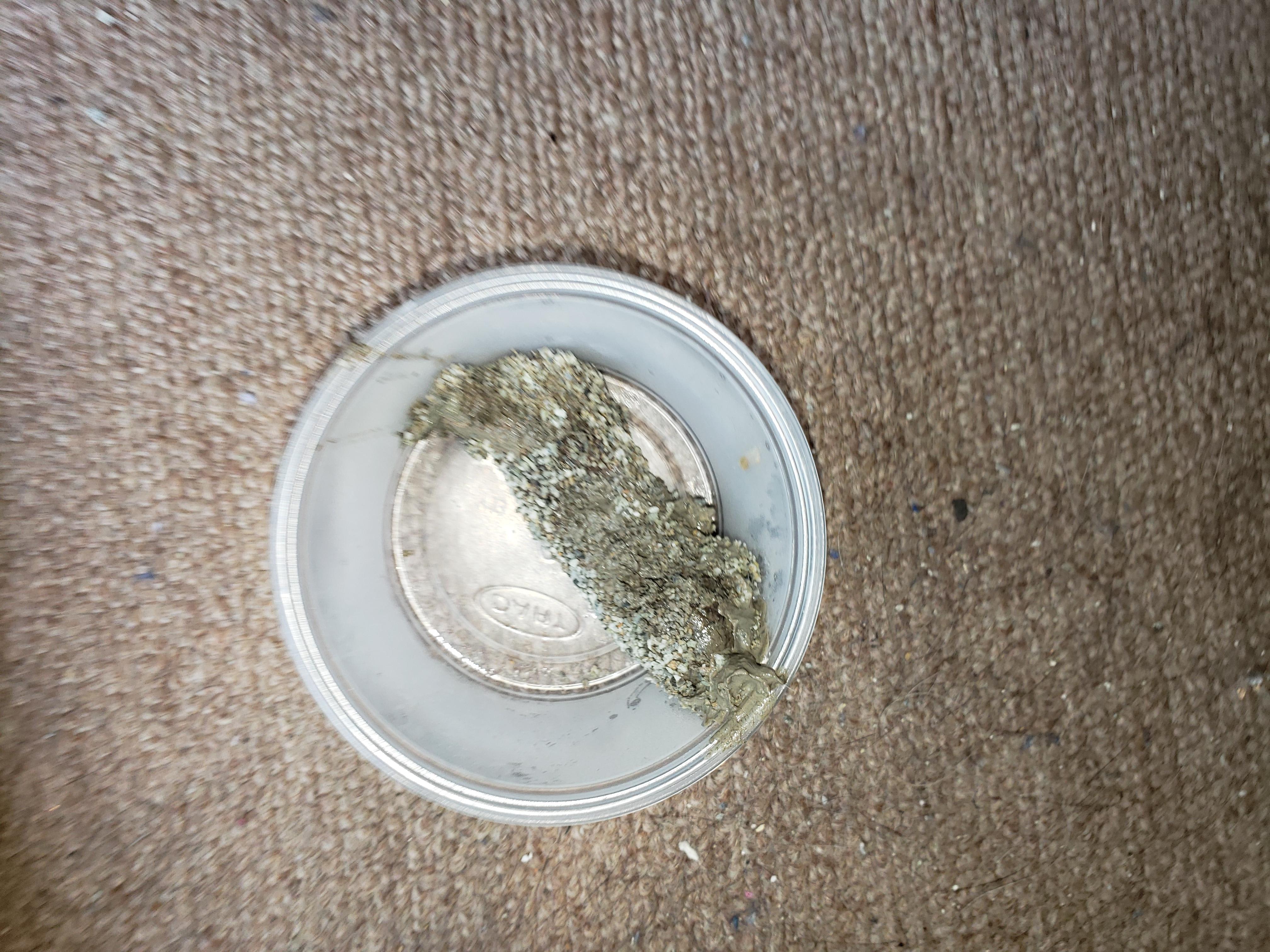 Cat has gray poop, constipation, stopped dry food? What's wrong? | Petco
