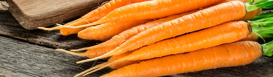 Are carrots outlet toxic to cats