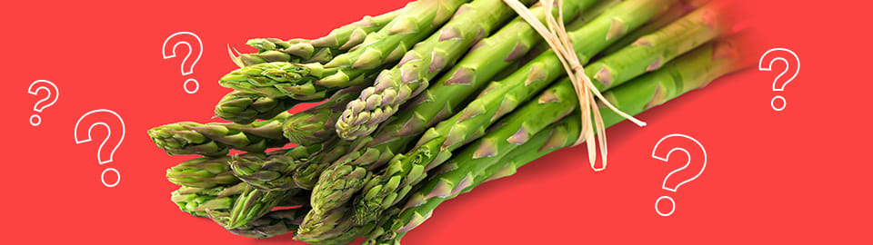 Asparagus 2025 and dogs