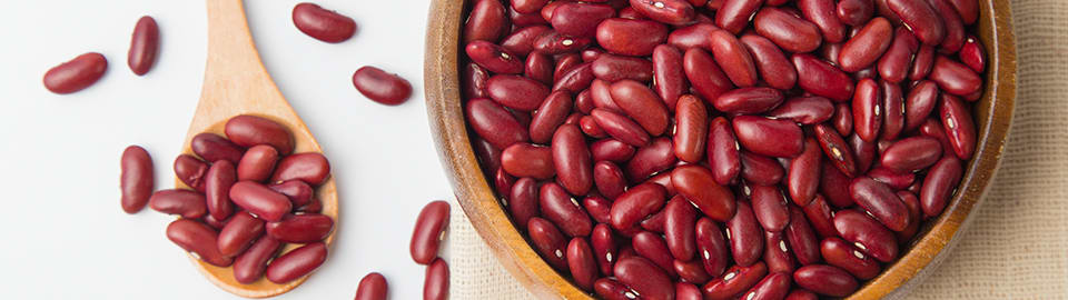 Can dogs 2025 have kidney beans