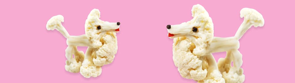 Can Dogs Eat Cauliflower?