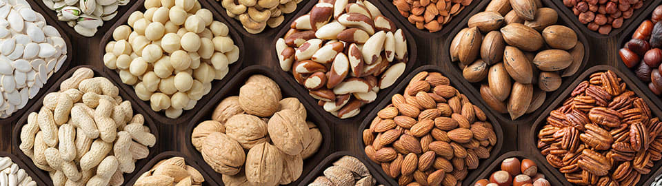 Are nuts toxic to dogs sale