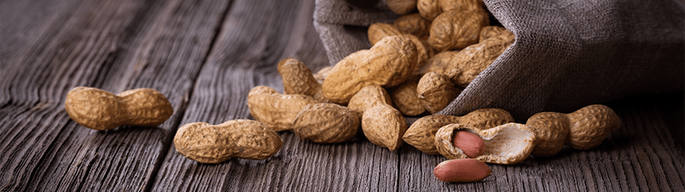 Are peanuts good for puppies sale