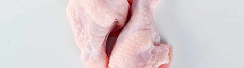 Can your dog eat raw clearance chicken