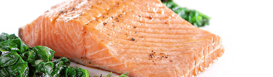 Salmon benefits 2024 for dogs