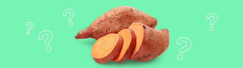 is sweet potato good for dogs