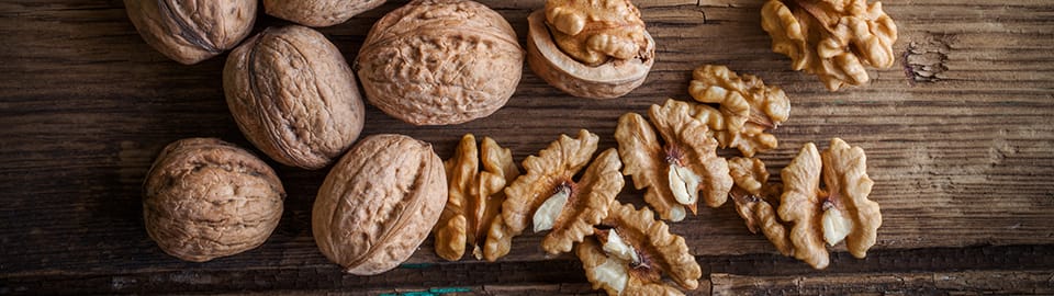 Can Dogs Eat Walnuts Are Walnuts Good or Bad for Dogs Petco