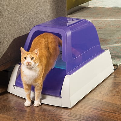 Petco automatic cat litter sales box