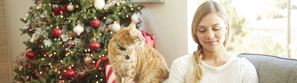 Cat and woman on couch in front of christmas tree