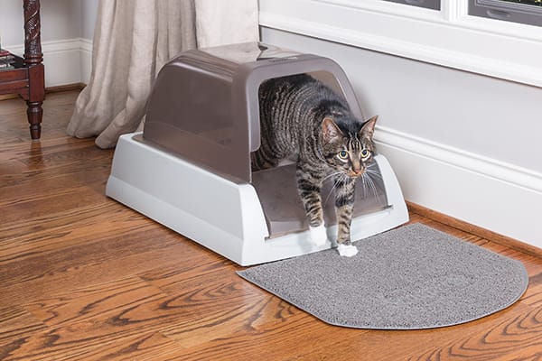 petco cat litter box