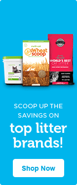 petco world's best cat litter