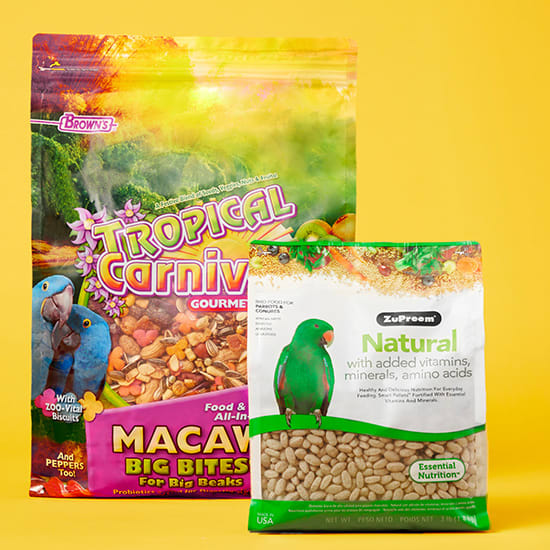 Parrot food 2024 online store