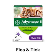 Cat Flea & Tick