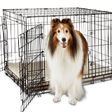 Puppy & Dog Supplies: Dog Food, Beds, Kennels & More