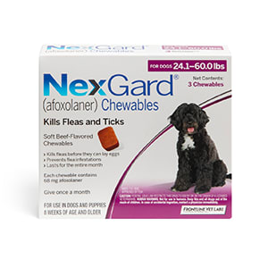 Puppy & Dog Supplies: Dog Food, Beds, Kennels & More