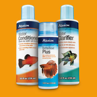 aquariums and supplies