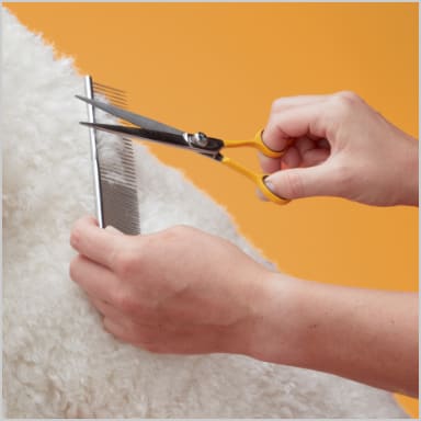 safari professional nail trimmer petco