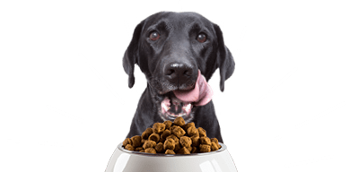 pet food buy