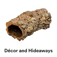 Reptile Decor & Hideaways