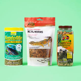 reptile supplies