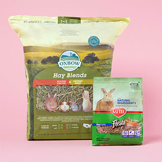 hamster harness petco