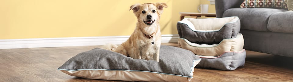 my pillow dog bed amazon