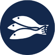 Fish icon