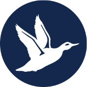 Bird icon