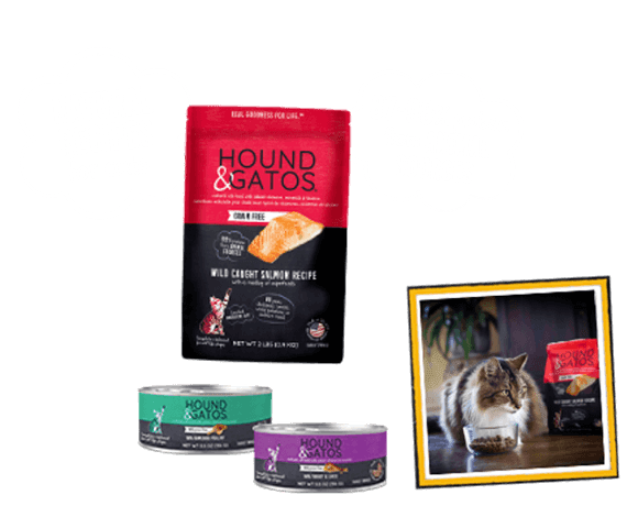 Natural recipes for dogs and cats. 84 to 98 percent protein from animal sources for dogs; 87 to 89 for cats