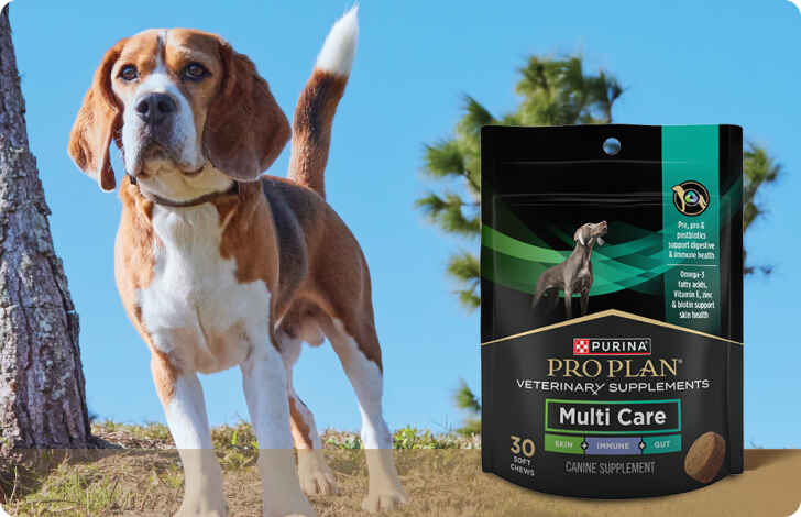 Purina Veterinary Supplements Petco