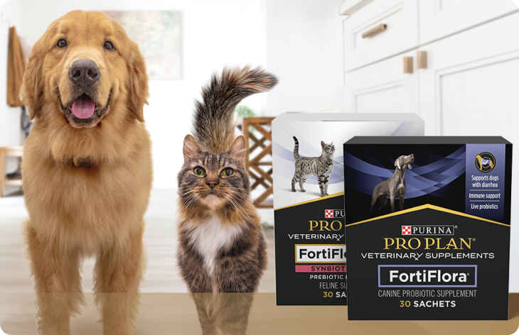 Fortiflora petco best sale