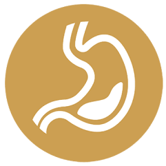 Icon of a stomach