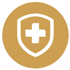 Icon of a shield with a cross inside