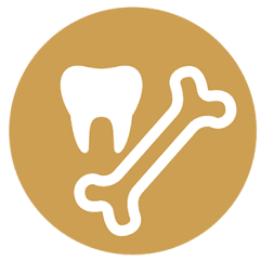 Icon of a tooth and a bone