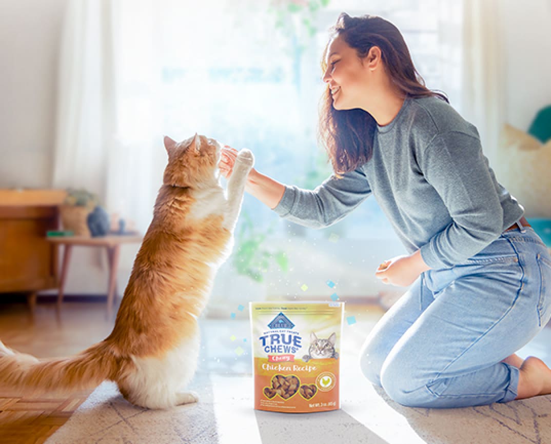 Woman feeding cat a treat while kneeling on the floor. Pack of Blue Buffalo True Chews cat treats.