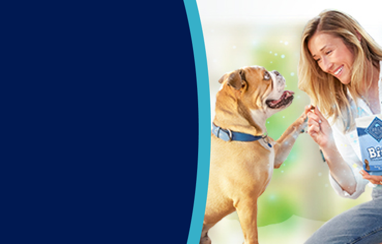 Woman feeding dog a Blue Bits training treat while holding a pack of Blue Bits dog treats.