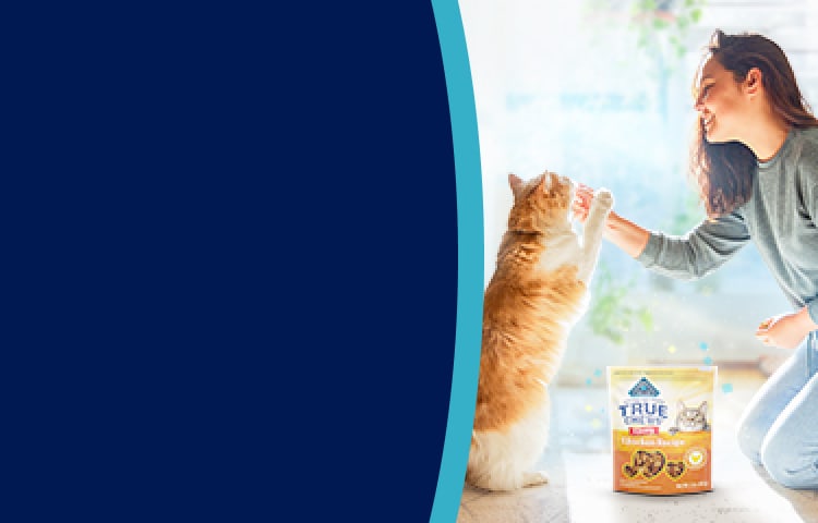 Woman feeding cat a treat while kneeling on the floor. Pack of Blue Buffalo True Chews cat treats.