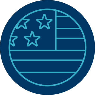 American flag icon