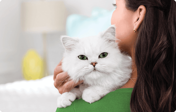Fancy Feast | Petco