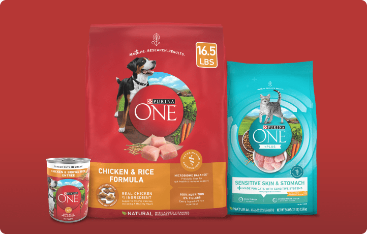 Petco purina one cheap dog food