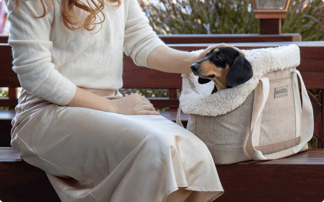 Woman and dachshund dog sitting on park bench. Dachshund is seated inside a Sherpa carrier