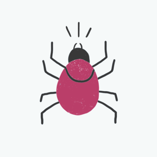 tick