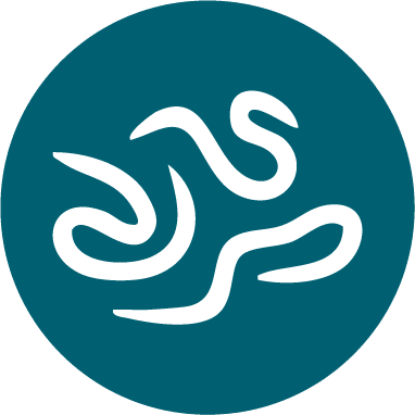 worms under magnifying glass