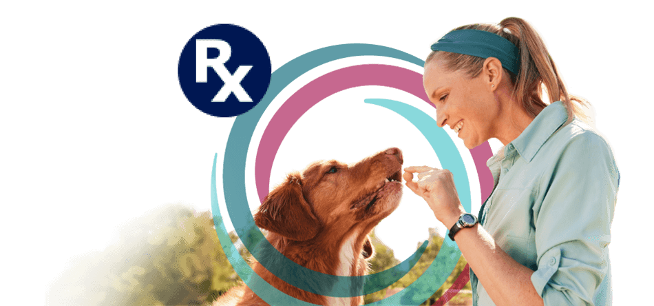 R X badge. Woman feeding dog Simparica Trio.